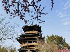 -杭州半山国家森林公园