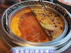 成双锅-快乐小羊(富强中路店)