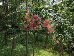-牙山果园·烧烤野炊·钓鱼团建·烤全羊