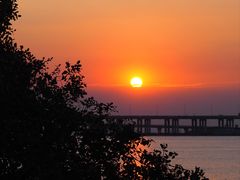 -宝安西湾红树林湿地公园