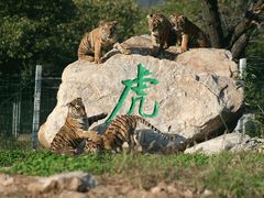 -西安秦岭野生动物园