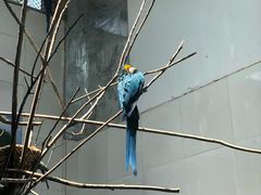 -西安秦岭野生动物园