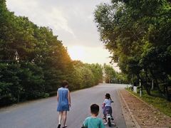 -太阳岛度假酒店