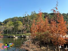 -广州市帽峰山景区