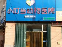 -小叮当动物医院·骨科·眼科