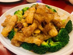 葱烧蹄筋-鸢飞潍坊菜馆(鸢飞大酒店)
