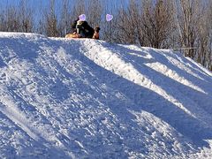 -宠乐会宠物乐园