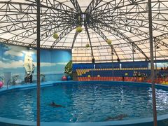 -尼莫海豚馆