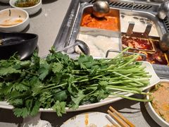 -海底捞火锅(万达广场店)