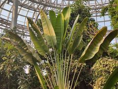 -郑州植物园