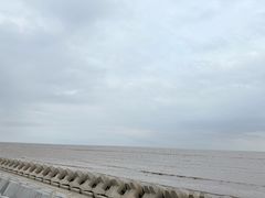 -南汇嘴观海公园