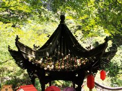 -石台牯牛降景区