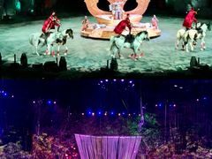 -广州长隆国际大马戏