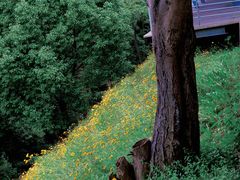 -西湖风景区-江洋畈生态公园
