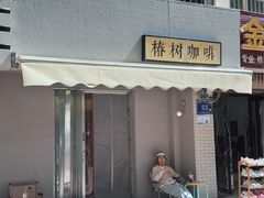 -椿树咖啡