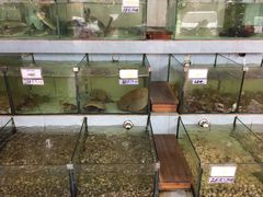 水产区-秋姐美食店(旅游大道店)