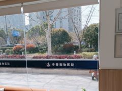 -申普宠物医院·眼科·心内科·影像科(普陀分院)