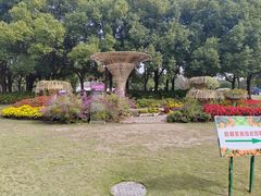 -上海滨江森林公园
