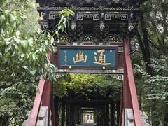 -晋祠公园