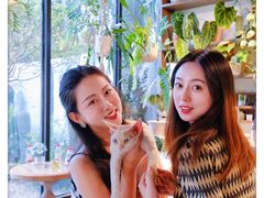 -自由生长植物工作室(深港花卉中心店)