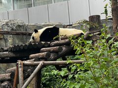 -青藏高原野生动物园