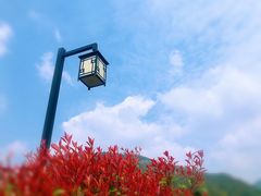 -龙坞茶村