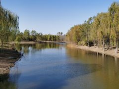 -东郊湿地公园