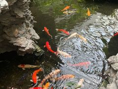 -白天鹅宾馆·流浮阁咖啡厅