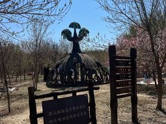 -西青郊野公园