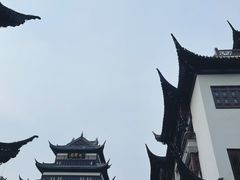 -上海明天广场JW万豪酒店