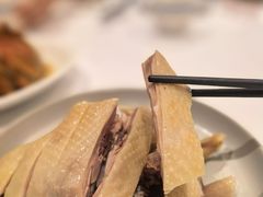 -老吉士酒家(天平路店)