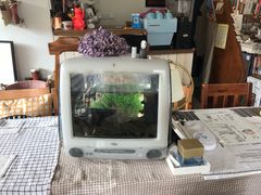 -海边的猫和咖啡馆