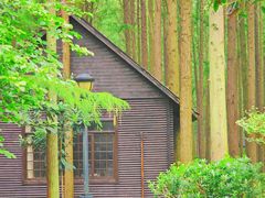 -泗洪洪泽湖湿地景区