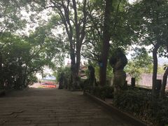 景点-丰都鬼城名山景区