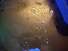 -Perry's·酒吧(打浦桥店)