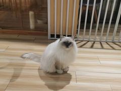 -听TA说宠咖·宠物生活馆(天韵水岸店)
