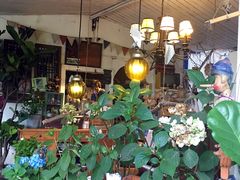 -懒鱼时光馆(沙坪坝店)