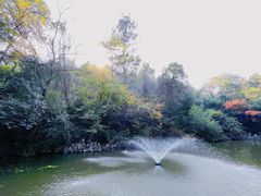 -敬亭山风景名胜区