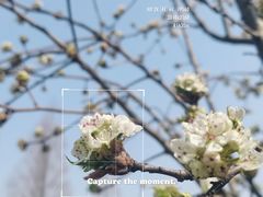 -上海滨江森林公园