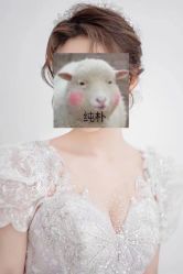 点击看大图 -LAFINE 兰斐婚纱礼服馆