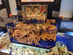 -蟹道乐(網元別館店)