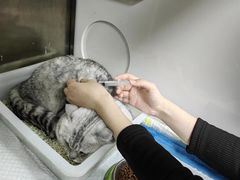 -美联众合动物医院·24h京西诊疗中心