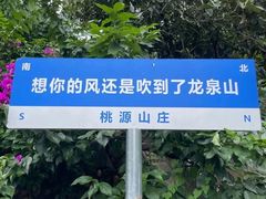 -桃源山庄·水蜜桃采摘·柴火鸡·烧烤团建(龙泉山店)