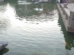 -祝家花園(伯渎港店)