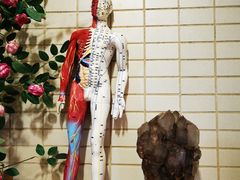 -修申骨雕小颜脊柱骨盆管理产后修复