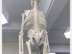 -中田健身工作室(东园店)