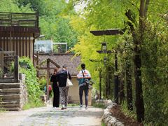 -牛背梁国家森林公园