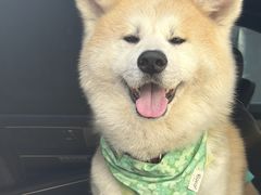 -北京赛佳动物医院