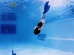 -上海潜殿潜水中心