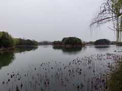 -上海市保健医疗中心